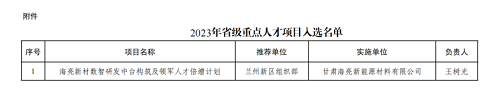 2024年新澳门正版免费资料